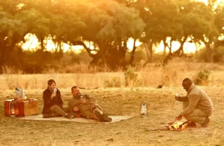 A couple and their guide enjoy a picnic beneath a tree, Zambia - Yellow Zebra Safaris