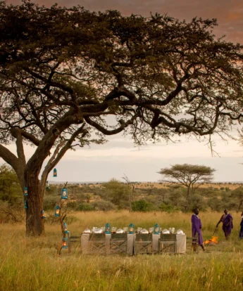 bush dining, four seasons serengeti, tanzania