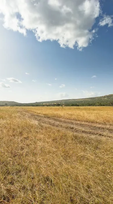 Naona Moru Camp Location