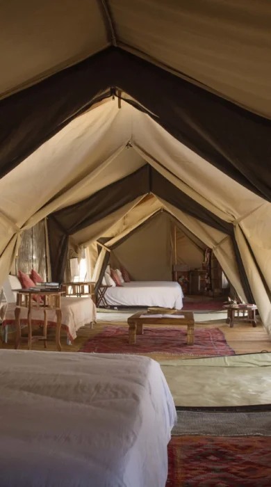 Serian Serengeti Kusini inside interior of tent