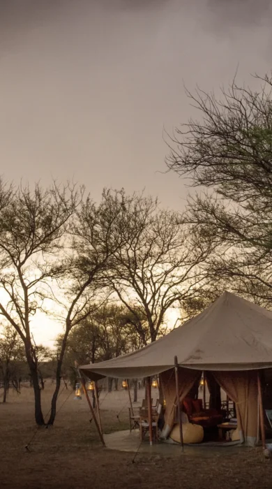 serena serengeti wetu exterior night setting