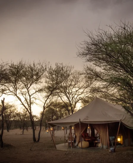 serena serengeti wetu exterior night setting