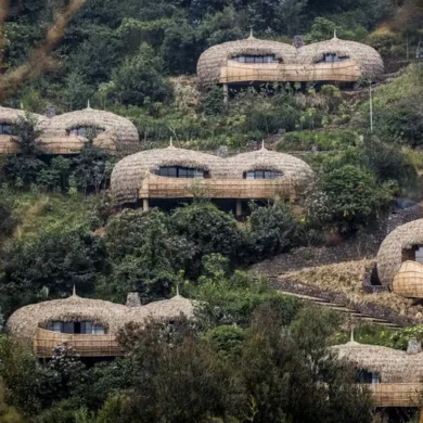 An aerial shot of the woven style accommodation lodges, Bisate, Rwanda - Yellow Zebra Safaris