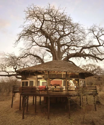 tree house lit inside