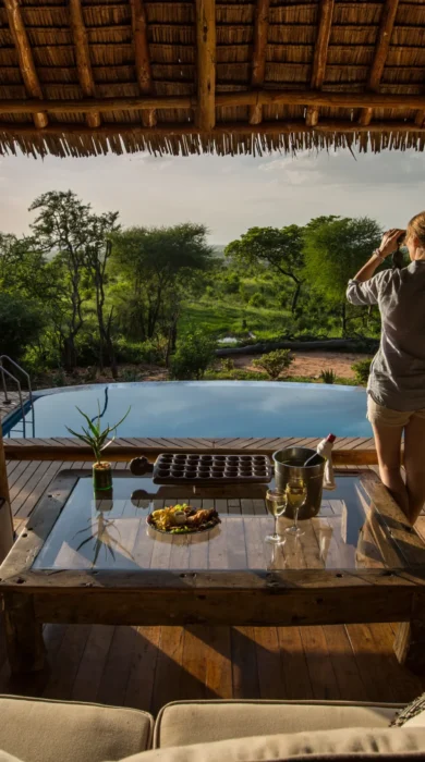 tarangire treetops main area tanzania yellow zebra safaris