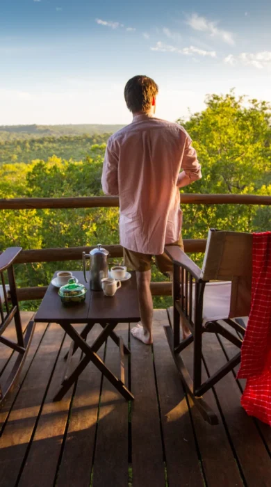 tarangire treetops balcony tanzania yellow zebra safaris