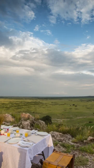 tarangire treetops bush breakfast tanzania yellow zebra safaris