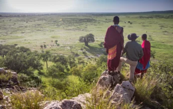 tarangire treetops bush walk tanzania yellow zebra safaris