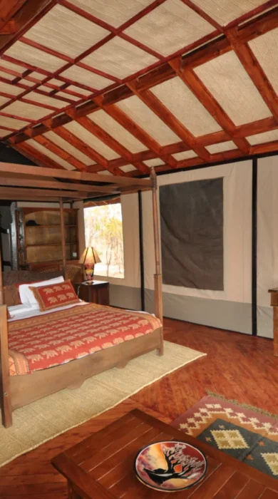Balloon Camp Tarangire (1)