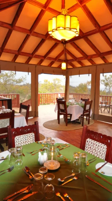 Balloon Camp Tarangire (7)
