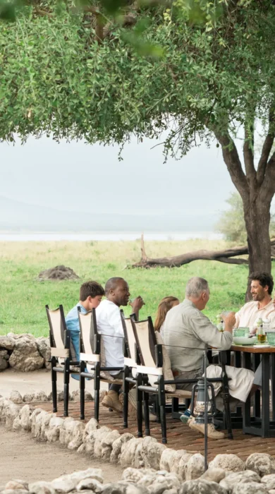 A large group dines around a table beneath an overhanging tree, Little Chem Chem, Tarangire national park, Tanzania - Yellow Zebra Safari
