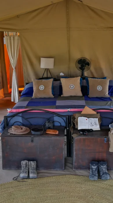 lake natron tanzania bedroom yellow zebra safaris