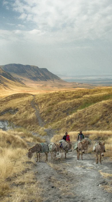 lake natron camp tanzania yellow zebra safaris