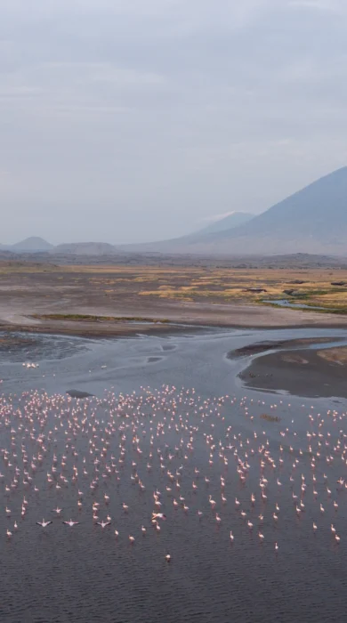 Flamingo views across Lake Natron Camp, Tanzania