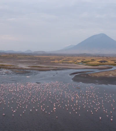 Flamingo views across Lake Natron Camp, Tanzania