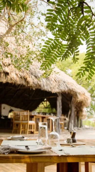 Sand Rivers Camp Selous dining yellow zebra safaris