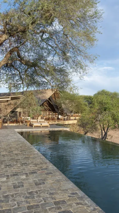 swimming pool, jongomero camp, ruaha national park, tanzania