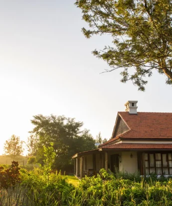 img Clients Tanzania Legendary Expeditions 3. Legendary Lodge cottage and garden