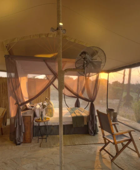 roho y selous double room tanzania yellow zebra safaris