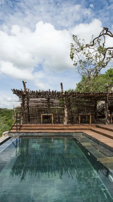 pool mwiba lodge tanzania yellow zebra safaris