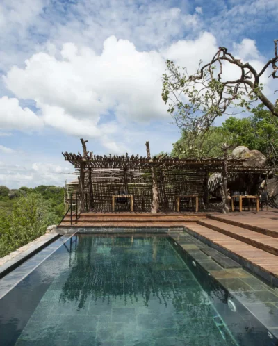pool mwiba lodge tanzania yellow zebra safaris