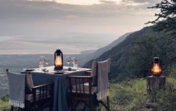 private dinner mwiba lodge tanzania yellow zebra safaris