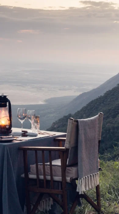 private dinner mwiba lodge tanzania yellow zebra safaris