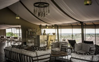 sanctuary kichakani serengeti camp main area tanzania yellow zebra safaris