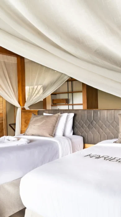 twin room, lemala mpingo ridge, tanrangire, tanzania