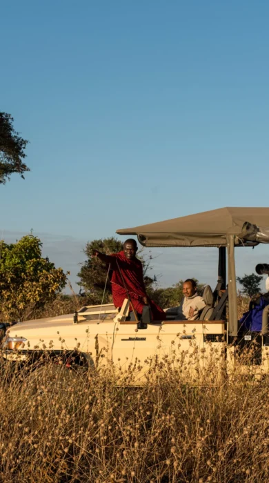Lemala Mpingo Ridge Game Drive