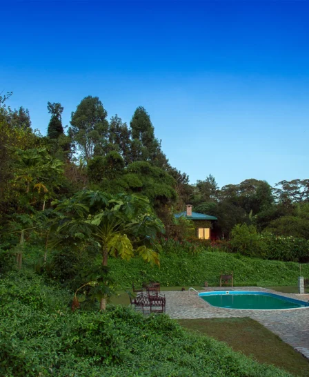 pool view