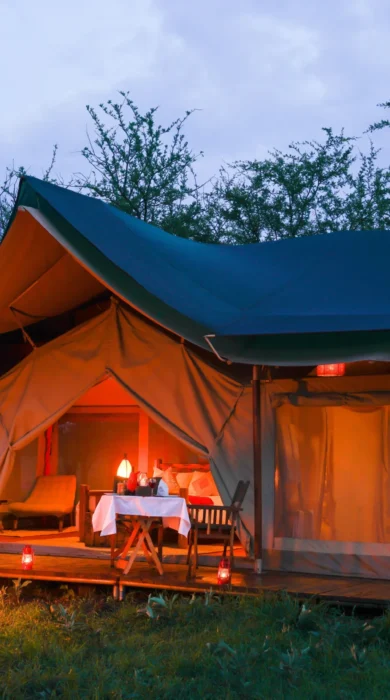 asanja moru night camp fire