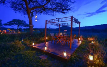 asanja moru tanzania Gazebo Dinner night