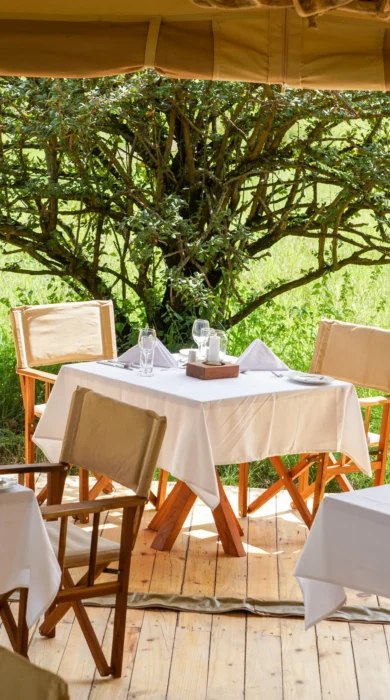 asanja grumeti dining tanzania yellow zebra safaris