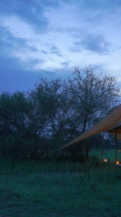 Grumeti main tents