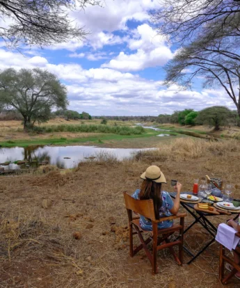 asanja ruaha bush dinner tanzania yellow zebra safaris