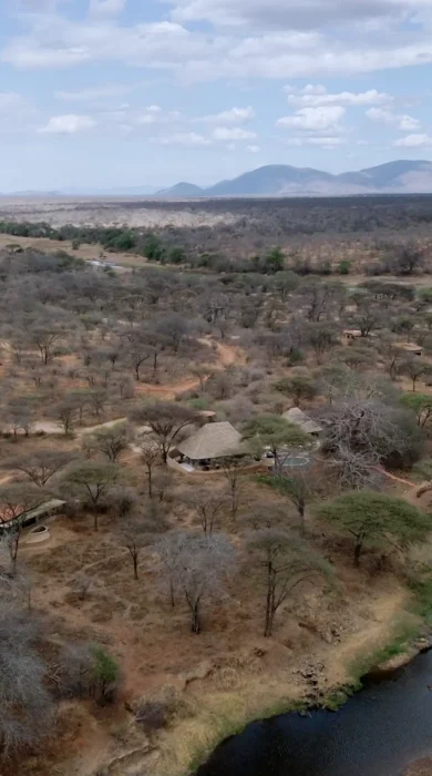 asanja ruaha view tanzania yellow zebra safaris