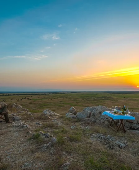 Nimali Tarangire sundowners