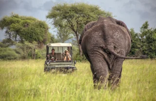 Game drive tanzania