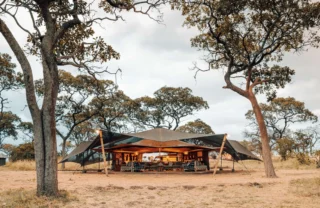 open main tent, wayo serengeti green camp, tanzania