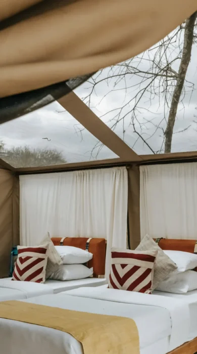 twin tent, wayo walking camp, the serengeti, tanzania