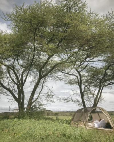 relaxation, wayo fly camping in the serengeti, tanzania