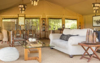mwiba tented camp tanzania lounge yellow zebra safaris