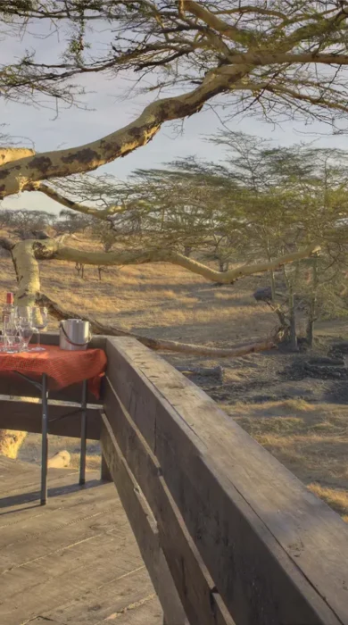 mwiba tented camp tanzania decking yellow zebra safaris