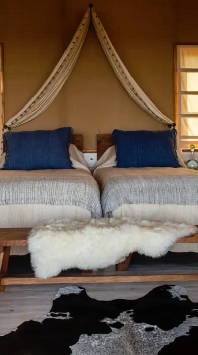 entamanu private tanzania twin bedroom yellow zebra safaris