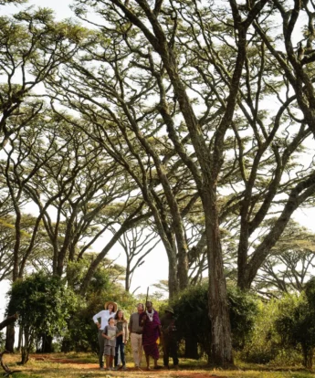entamanu private activities tanzania yellow zebra safaris