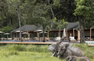 Main guest tent exterior with elephants in front, Mara Triangle, Kenya, Yellow Zebra Safaris