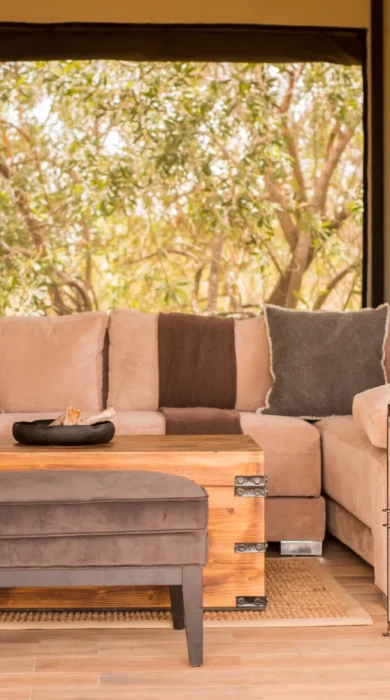 nimali mara sofa tanzania yellow zebra safaris