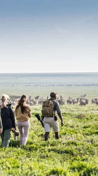 Walking safaris, Songa Migrational Camp, Serengeti, Tanzania
