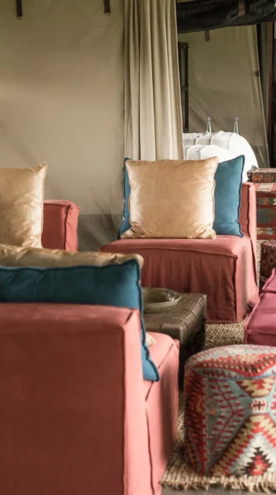 Family suite, Nyasi Migrational Camp, Tanzania